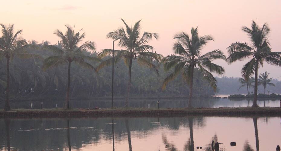 Oyster Opera Island Resort, Kasaragod 3